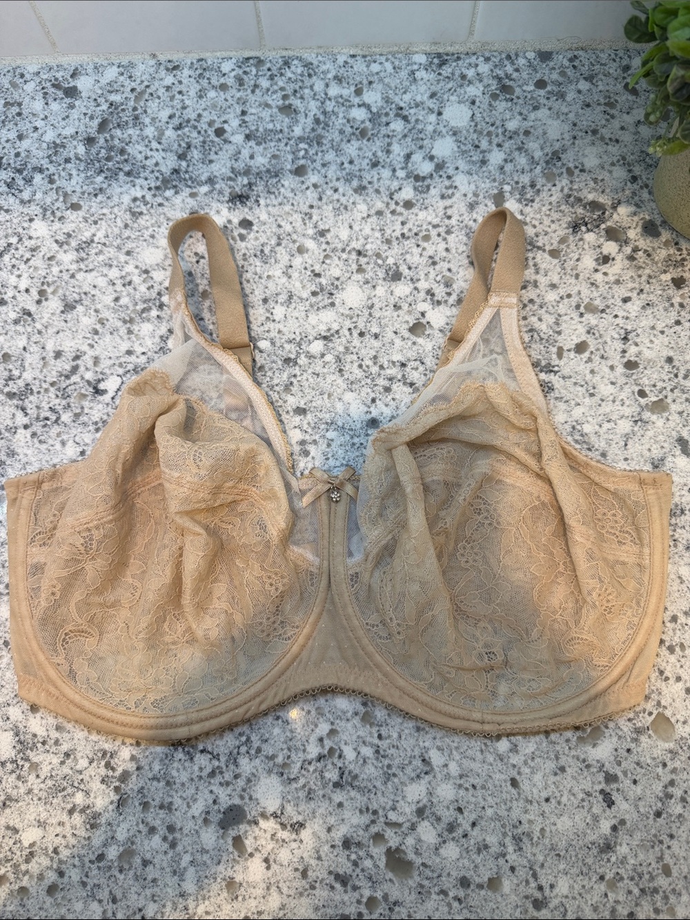 Wacoal shear Lace Full Coverage Support Bra in Nude size 40G